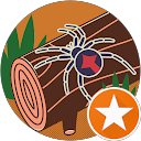 Kill it pest manage profile picture